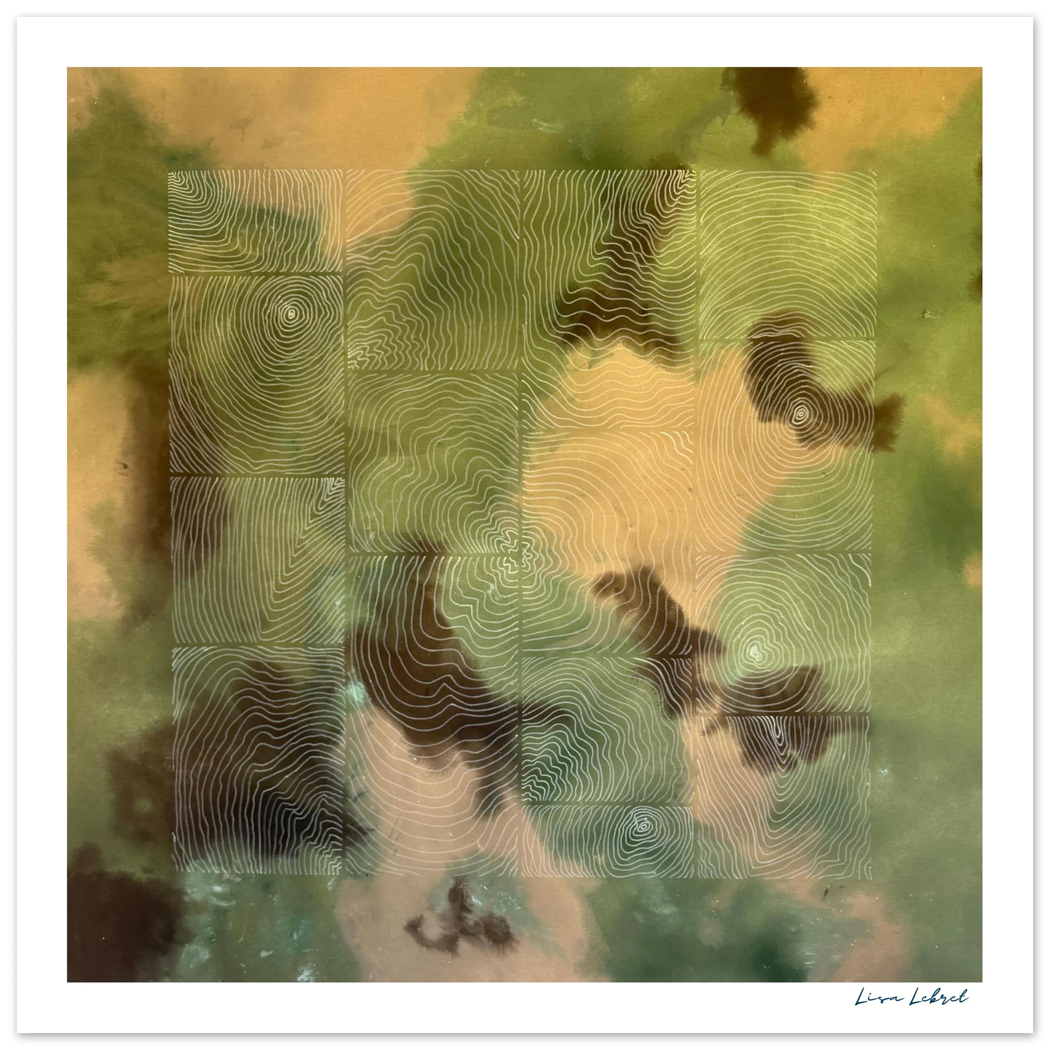 55198379-694f-48ff-9c87-45d7c2719440